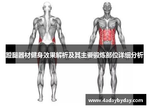 蹬腿器材健身效果解析及其主要锻炼部位详细分析