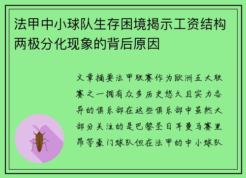 法甲中小球队生存困境揭示工资结构两极分化现象的背后原因